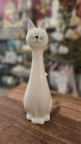 Cicka porcelánová 